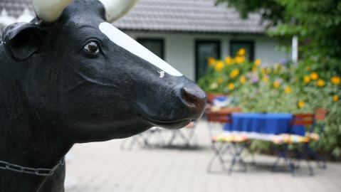 Unsere Räumlichkeiten